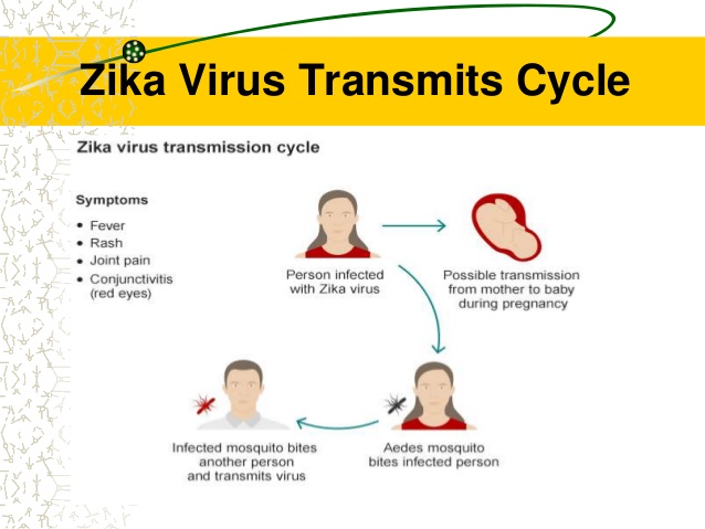 symptoms-diagnosis-treatment-all-about-zika-virus-8-638.jpg